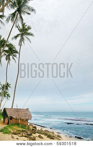 Sea Beach With Palm Trees And  Hut