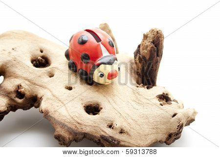Ceramic beetle with wooden root