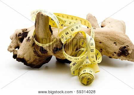 Dimension tape with wooden root