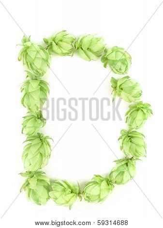 Hop flowers laid in form of letter D.