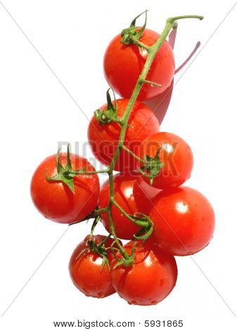 Tomates