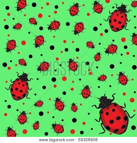 ladybugs vector