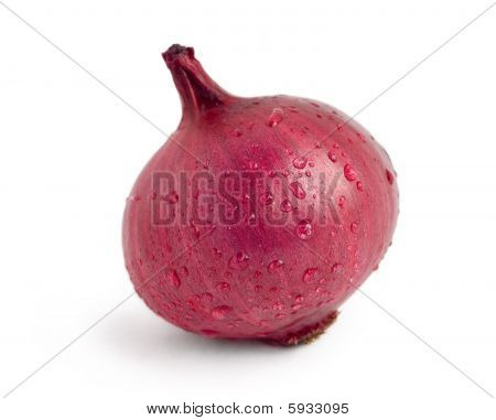 Cipolla rossa