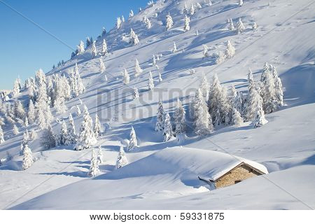 Winter Landscape