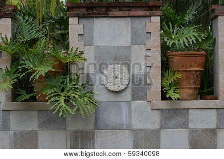 Green leaves of plants