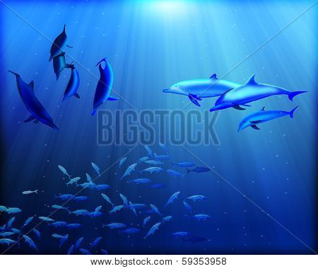 Dolphins Underwater