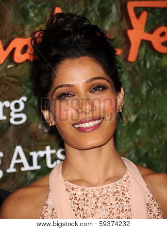 LOS ANGELES - OCT 17:  Freida Pinto arrives to the Wallis Annenberg Center for the Performing Arts Gala  on October 17, 2013 in Beverly Hills, CA                