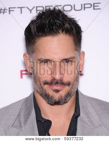 LOS ANGELES - NOV 19:  Joe Manganiello arrives to the Jaguar F-TYPE Global Reveal Event  on November 19, 2013 in Playa Vista, CA                