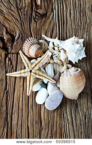 Sea Shell, Sea Stone And Starfish Collection Collection On A Wooden Table