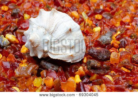 amber and seashell