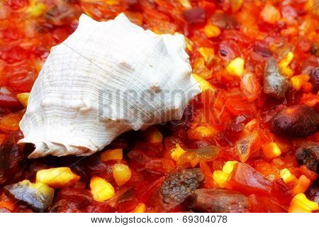 amber and seashell