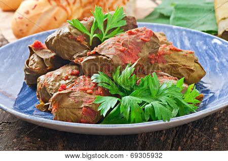 Dolma, stuffed grape leaves, turkish and greek cuisine