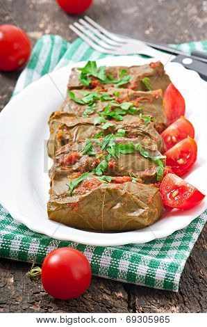 Dolma, stuffed grape leaves, turkish and greek cuisine