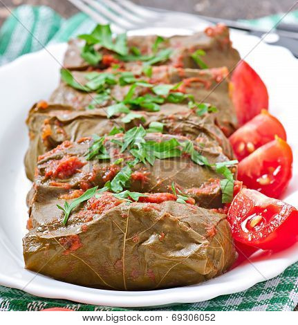 Dolma, stuffed grape leaves, turkish and greek cuisine