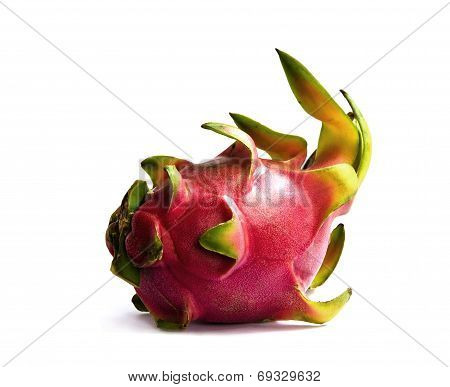 Dragon Fruit