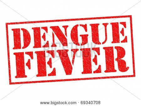 Dengue Fever