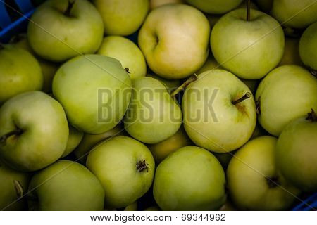 Pearmain apples