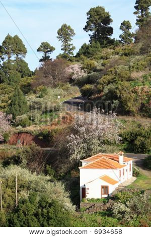 İspanyolca La Palma Adası