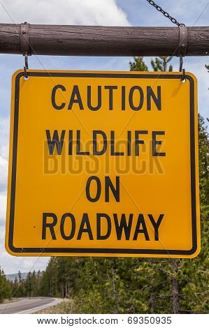 Caution Wildlife On Roadway Sign