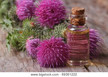 Oil Of Burdock Close-up On A Table