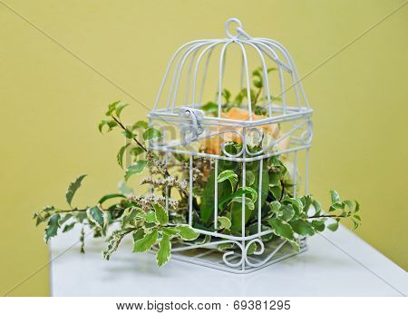 Decoration of bright orange and green colorful flower in white cage. wedding decoration with cage