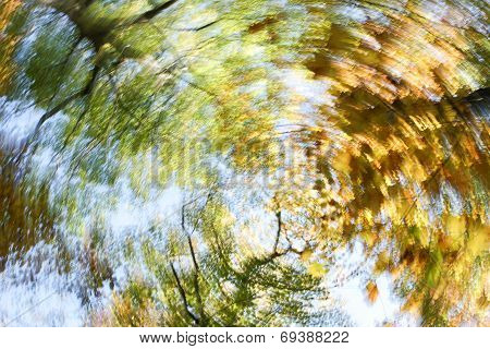 Autumn