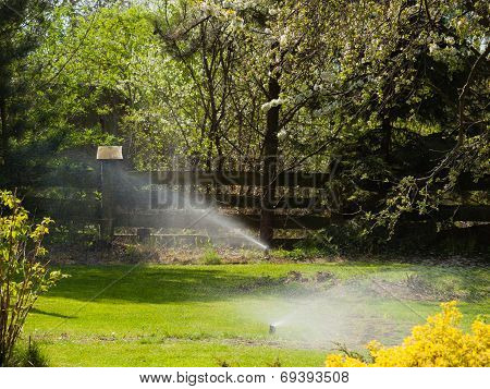 Gardening. Lawn Sprinkler Spraying Water Over Grass.