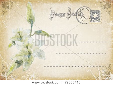 vintage grunge postcard with flower.vector illustration