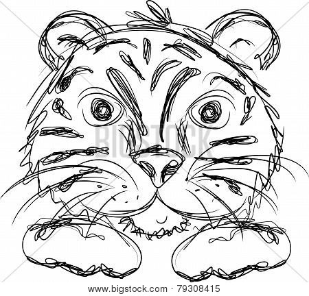 Tiger Head