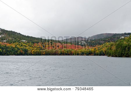 Forest Lake