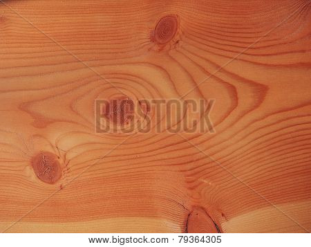 Larch Wood Background