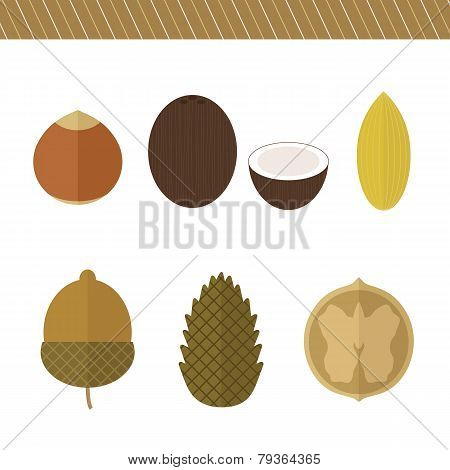 Set Of Nuts. Vector Elements For Design