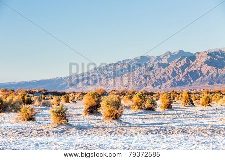 Death Valley