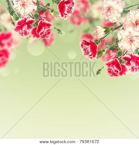 Postcard With Elegant  Flowers And Empty  Place For Your Text