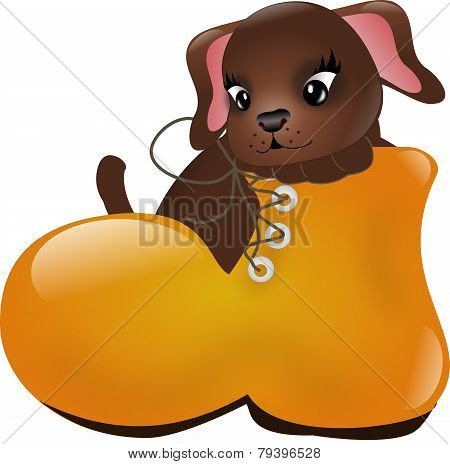 Dog In Shoe