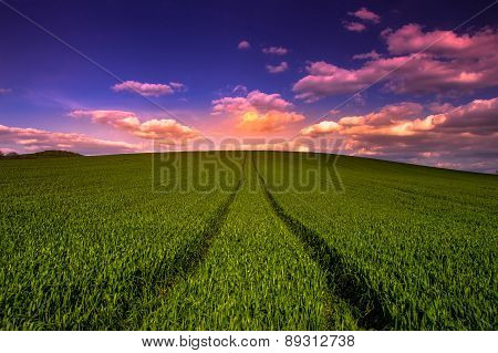 Path to the moon