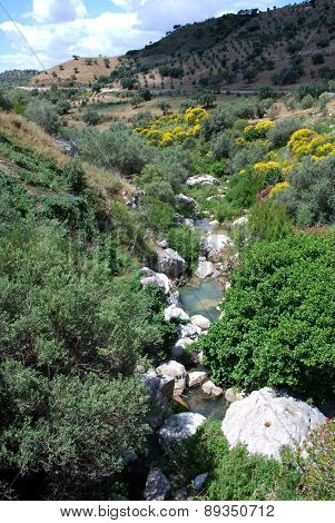Mountain stream, Andalusia.