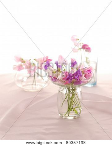 Sweet peas flower