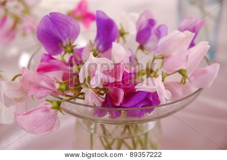 Sweet peas flower