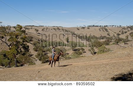 Young Horse Instructor Or Cattleman Riding The Animal In Cowboy Hat And Rider Boots