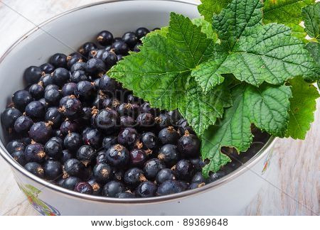 Blackcurrant In A Bowl