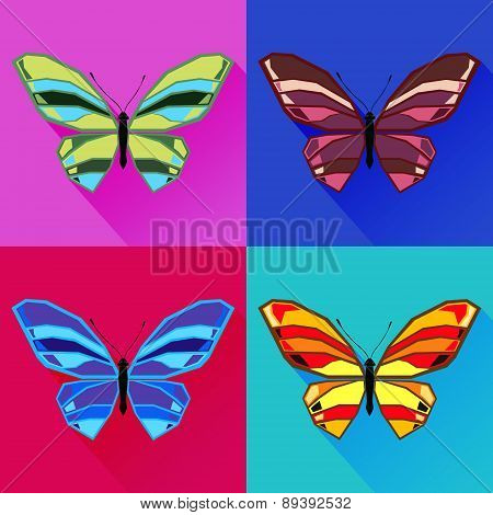 Butterfly5