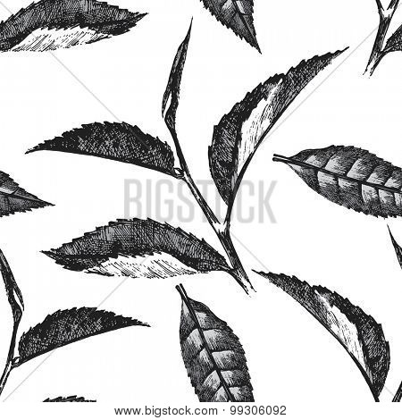 hand drawn seamless pattern with tea leafs on white background