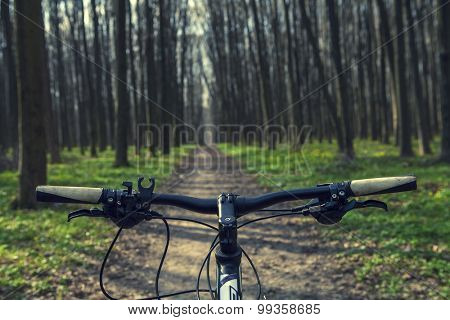 Mountain biking down hill descending fast on bicycle. View from bikers eyes.