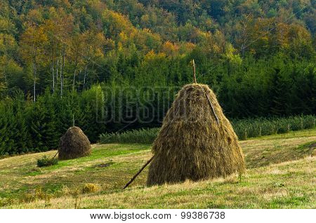 Viewpoint on a landscape of mount Bobija, hills, haystacks, meadows and colorful trees