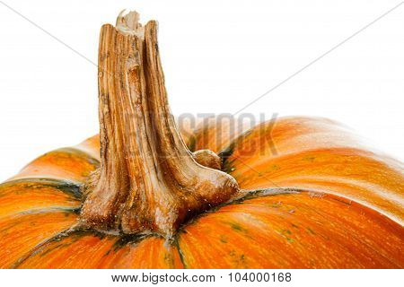 A piece of orange pumpkin close up on white background. Selective focus on stem.