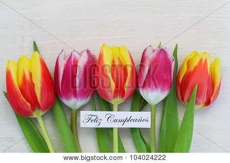 Feliz cumpleanos (which means happy birthday in Spanish) card with colorful tulips