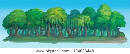 Forest