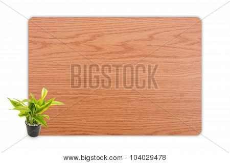 Yucca In The Small Pots On Wood Texture Background.