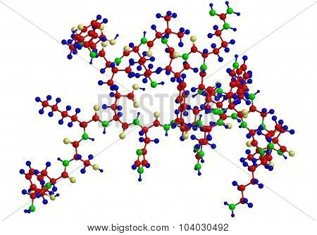 Molecular Structure Of A Petide - Sequence Of Amino Acids
